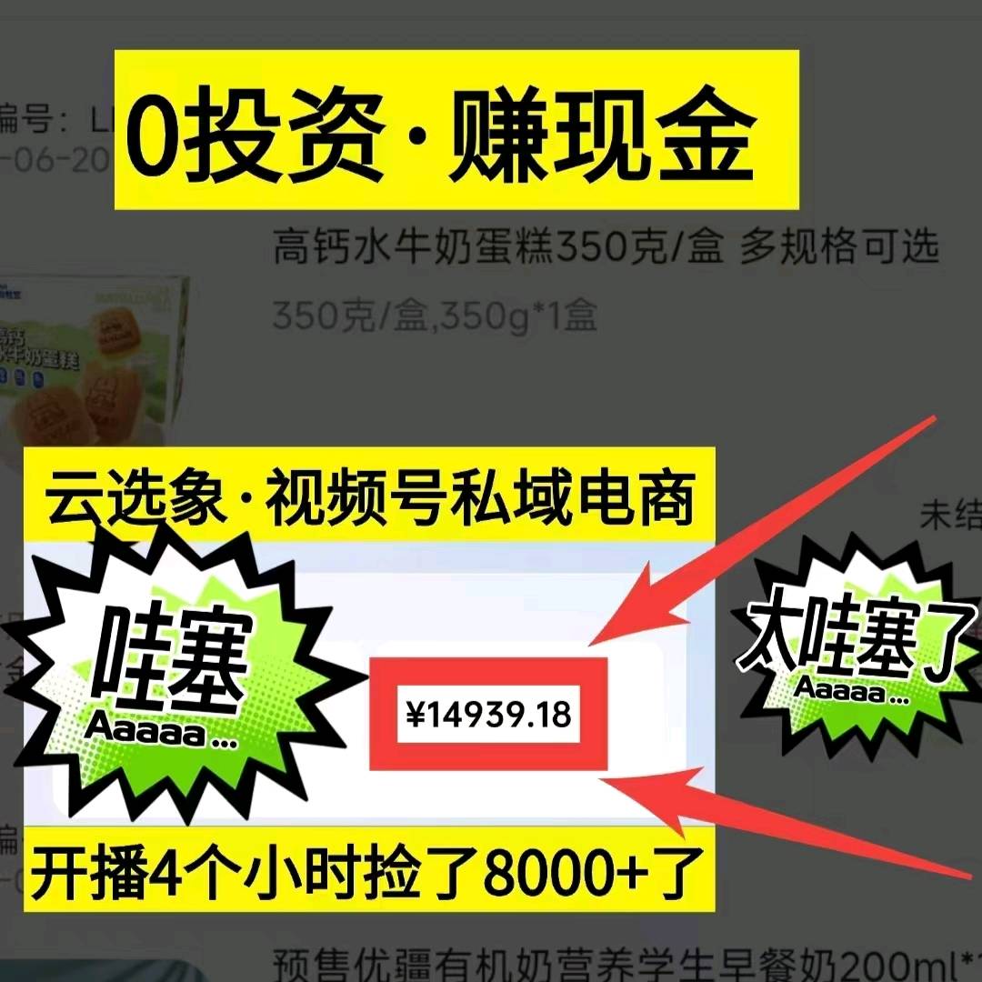 微信视频号 橱窗带货 0投资 