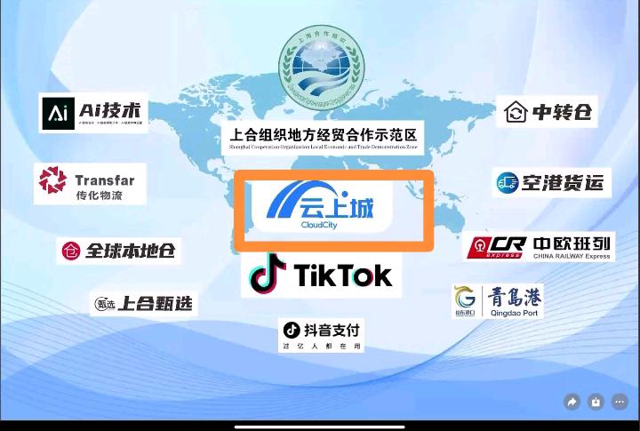 TIKTOK（国际版抖音）跨境电商