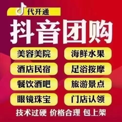 本地生活服务地推项目代理商 日结300+