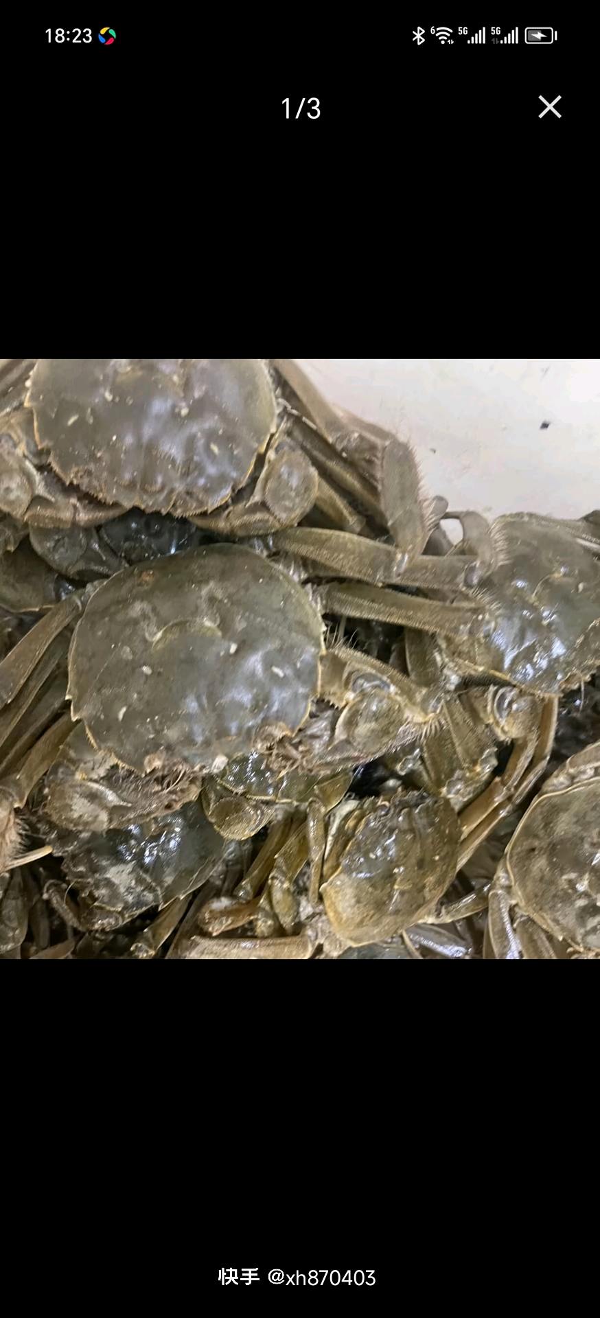 🦀【诚招盘锦河蟹代理｜一部手机轻松创业】🦀

