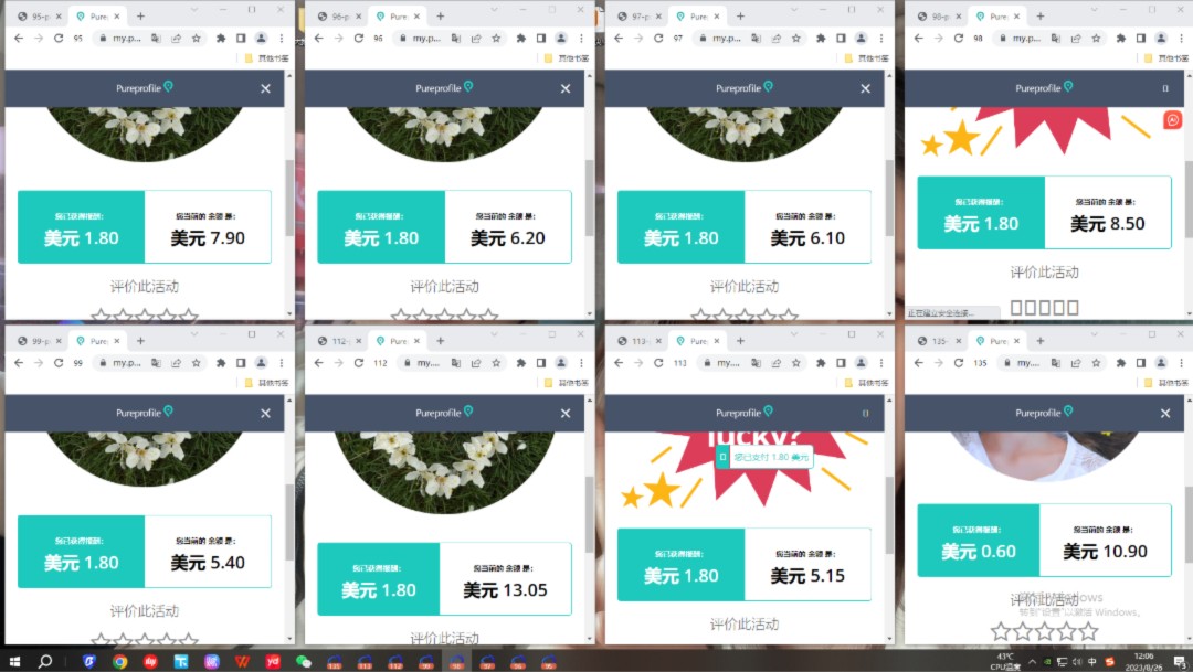 海外问卷调查—老项目—6年老兵带你赚美刀