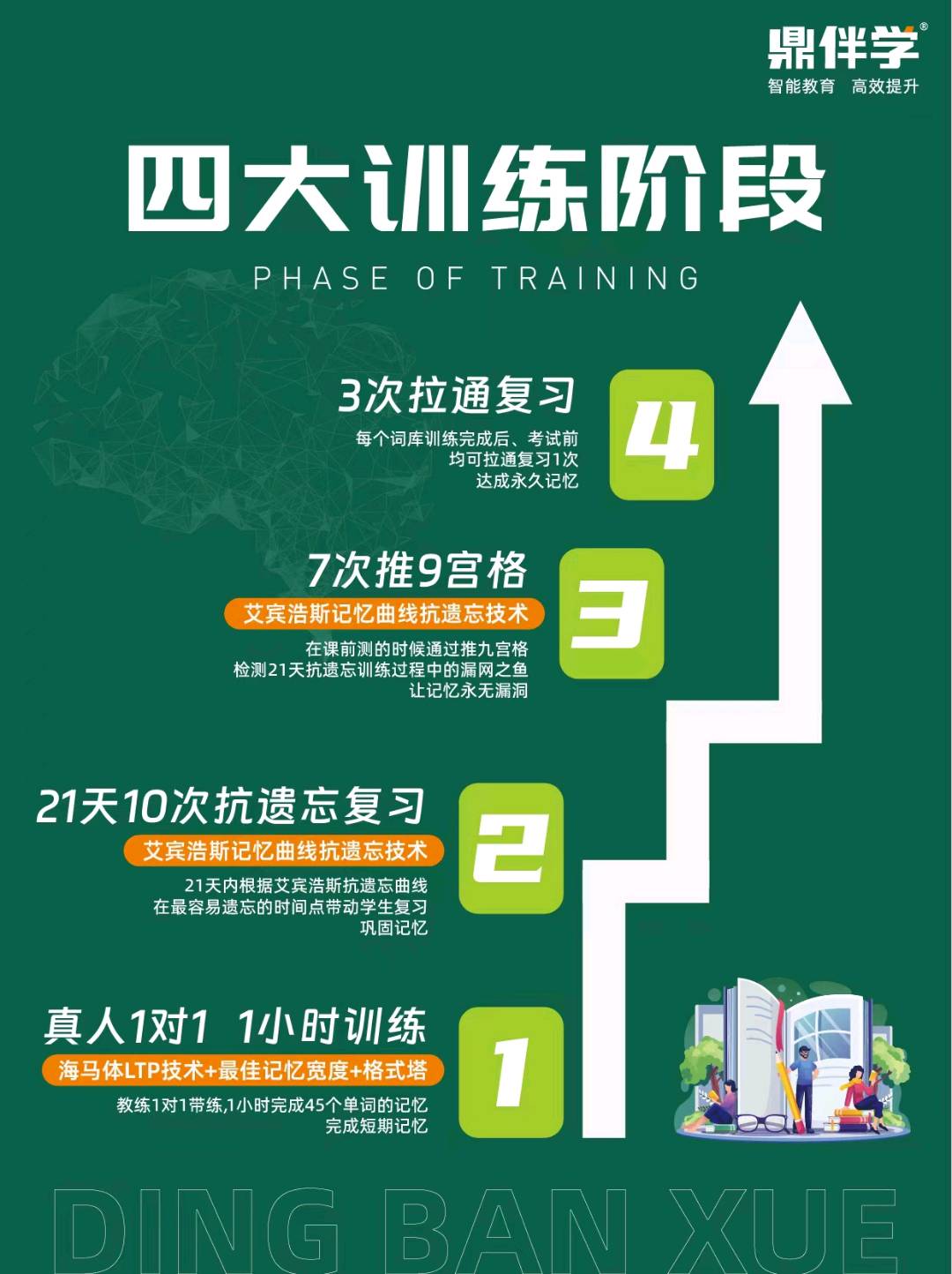 鼎伴学英语快速提分招代理