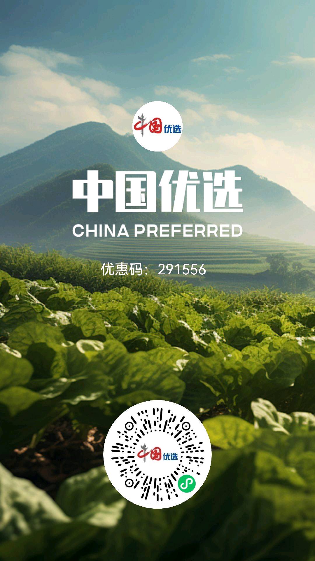 中国优选代理招募，国字号品牌！免费注册，享流量支持+全程运营指导