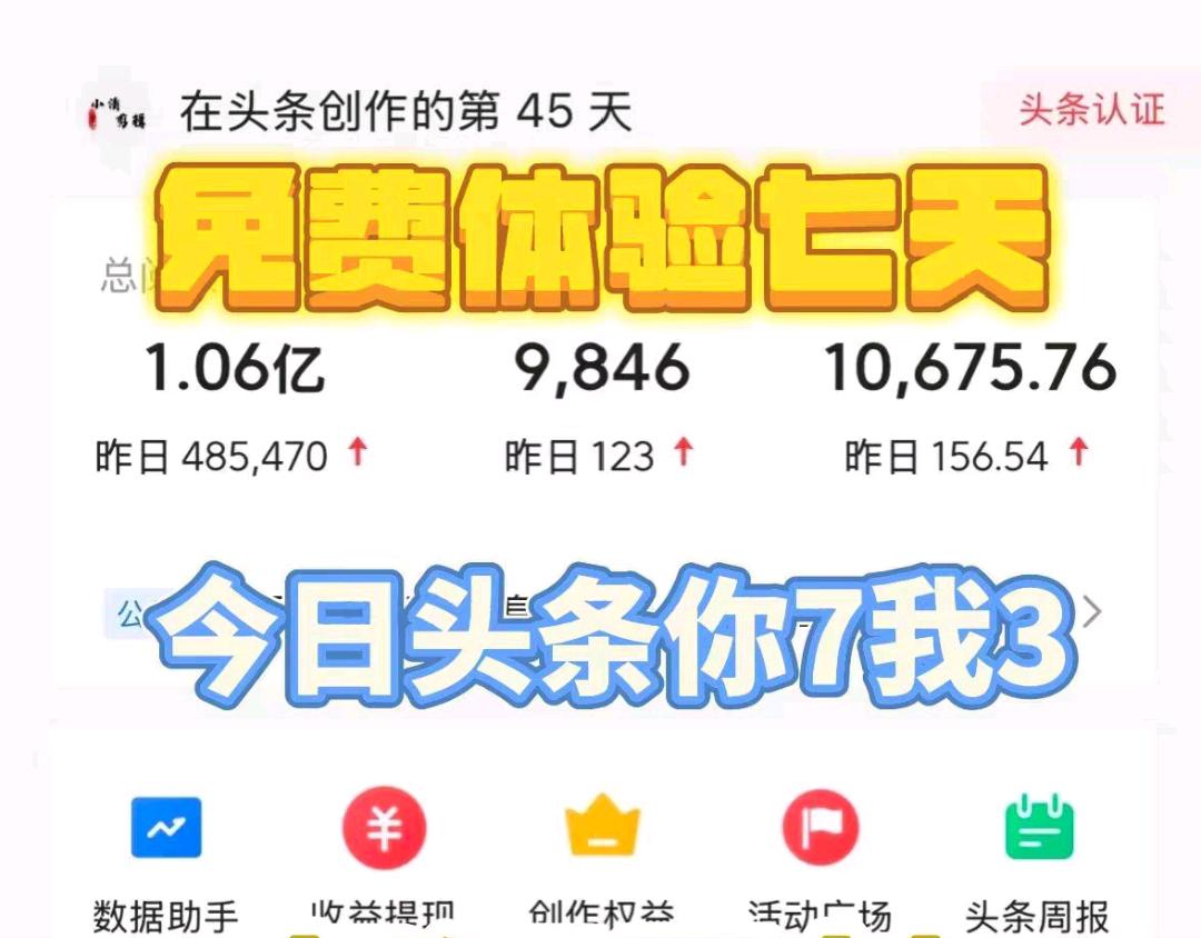 今日头条代挂项目，73分成