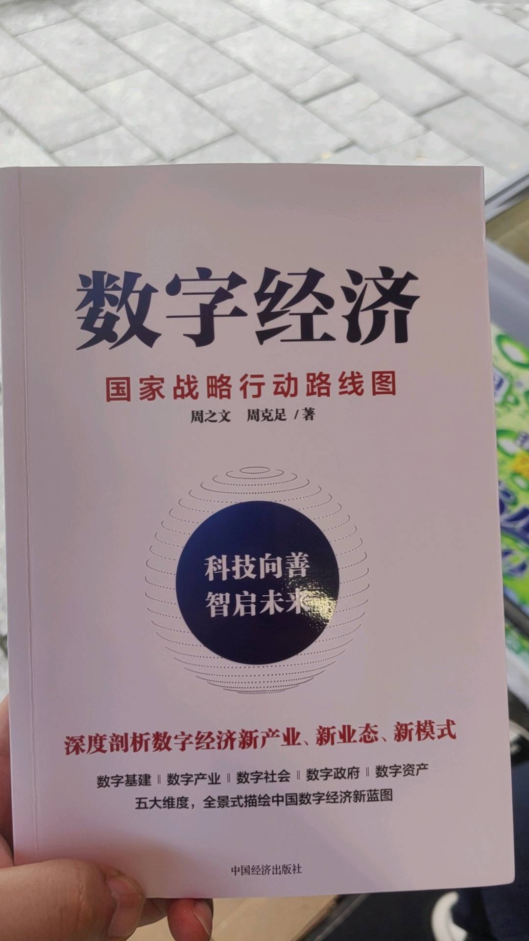 数商新赛道——普通人和企业转型能够把握的财富高地