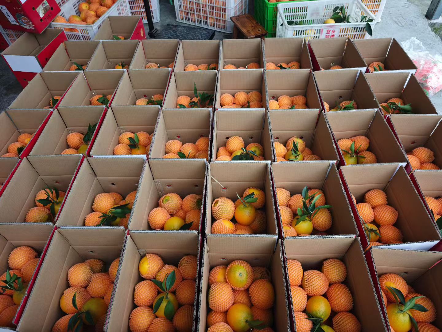 抖音代发，短视频代发