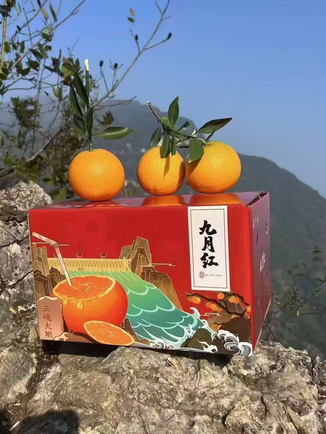 抖音代发，短视频代发