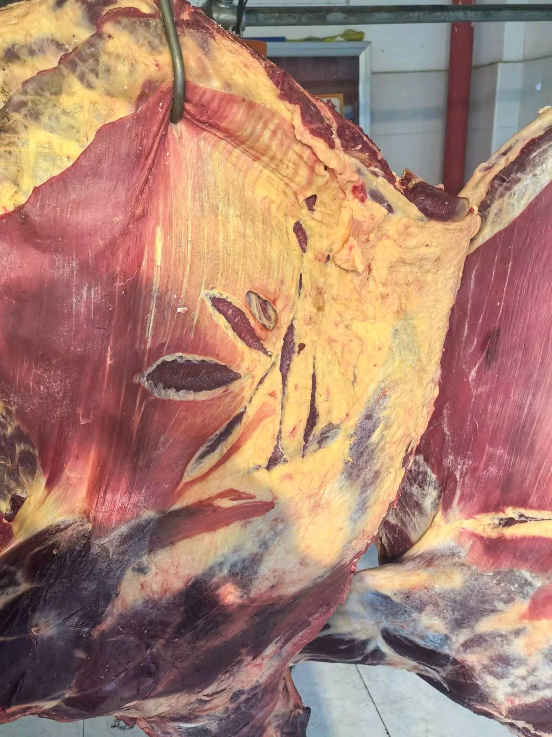 寻找青海特产，牦牛肉，藏系羊肉销售合伙人