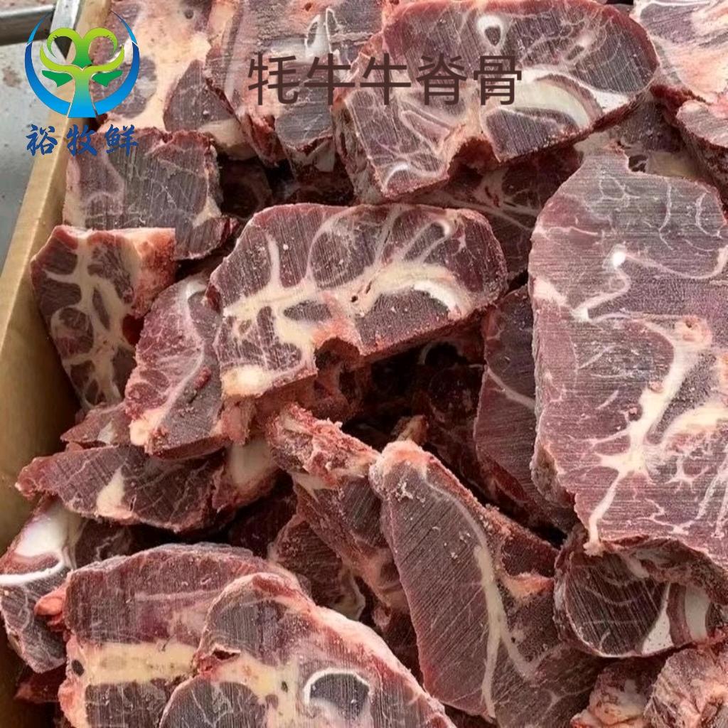 寻找青海特产，牦牛肉，藏系羊肉销售合伙人