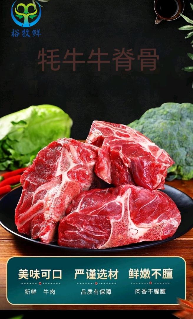 寻找青海特产，牦牛肉，藏系羊肉销售合伙人