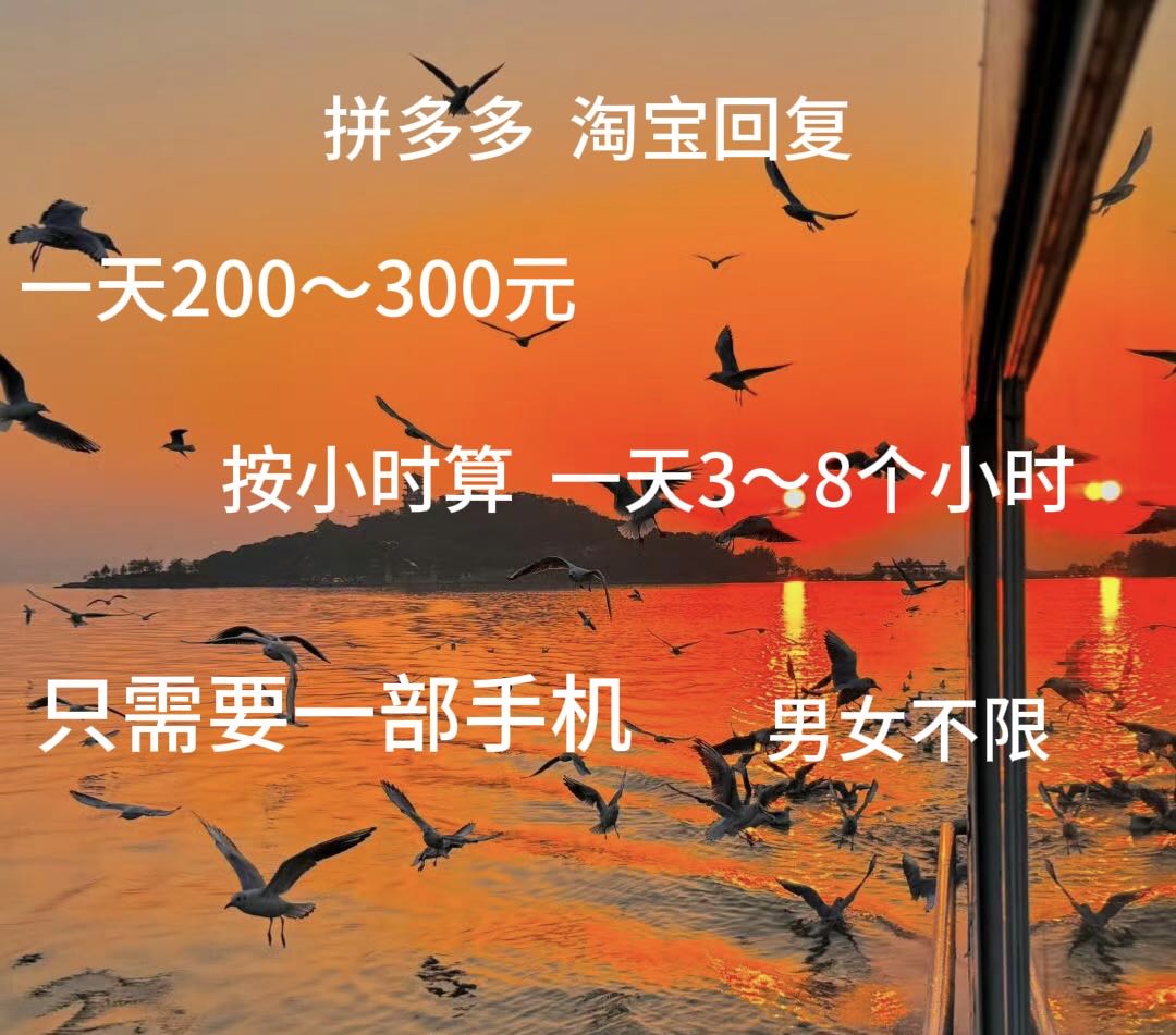 拼多多 淘宝回复员