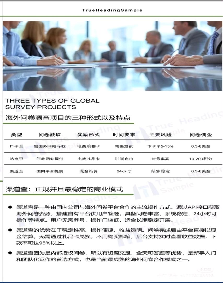 海外问卷调查项目渠道查  正规并且最稳定的商业模式