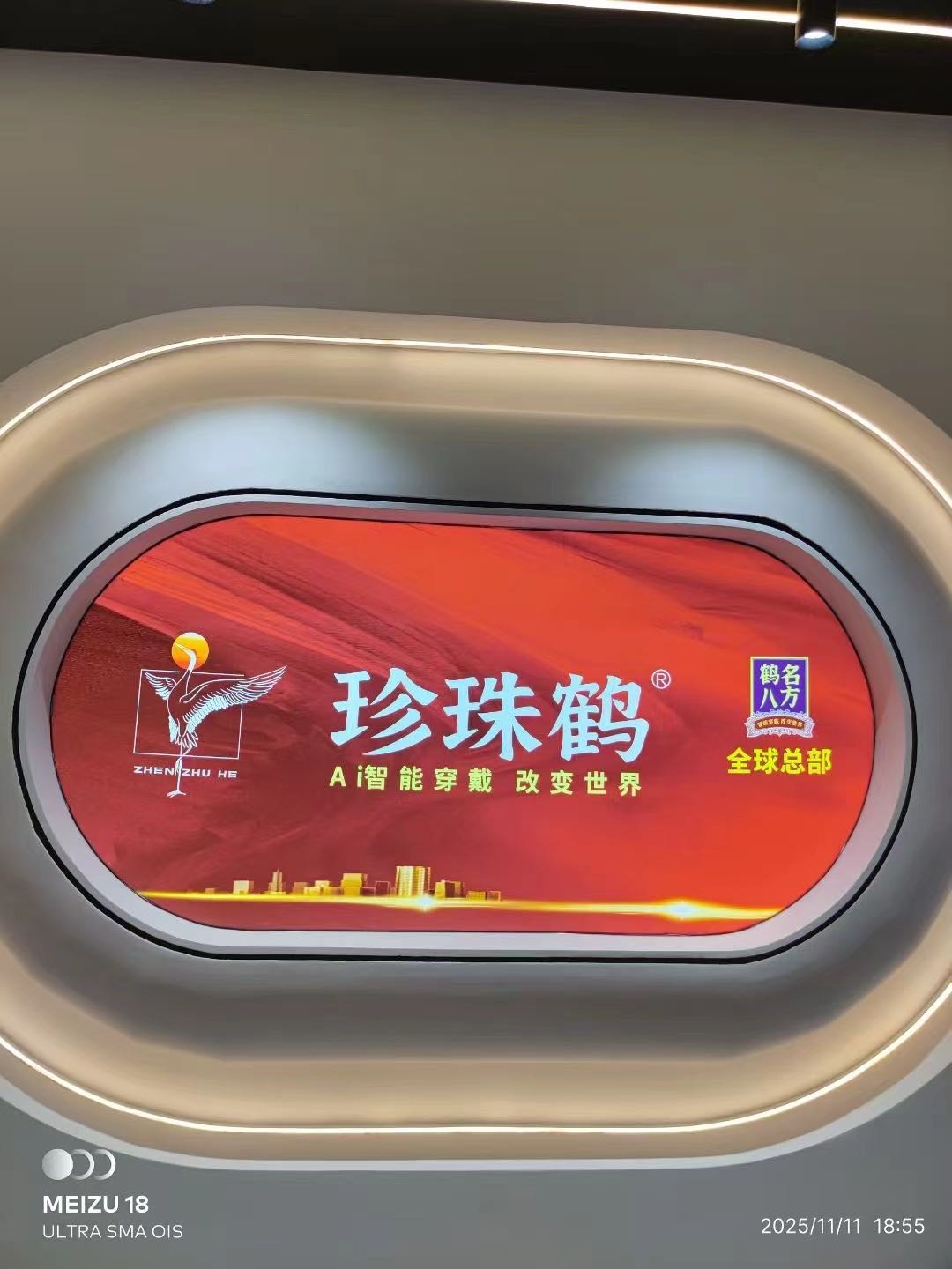 珍珠鹤Ai智能穿戴找销售代理