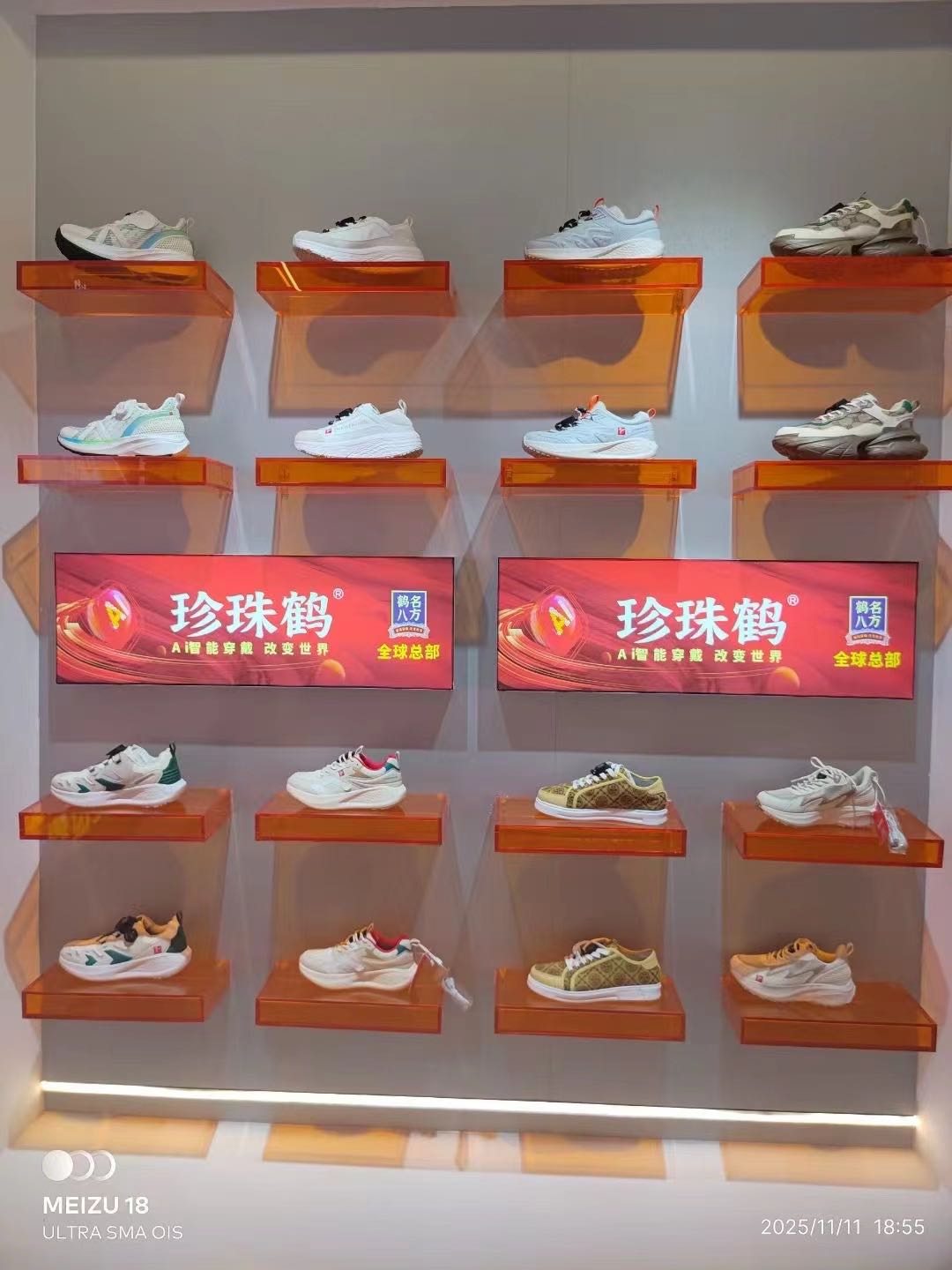 珍珠鹤Ai智能穿戴找销售代理