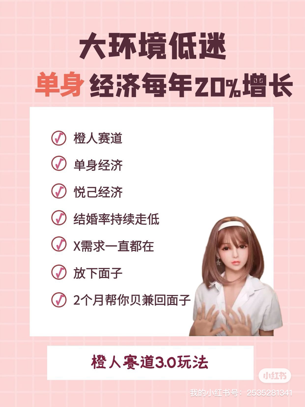 成人用品赛道，提供线上商城与线下门店，交付整套引流方法