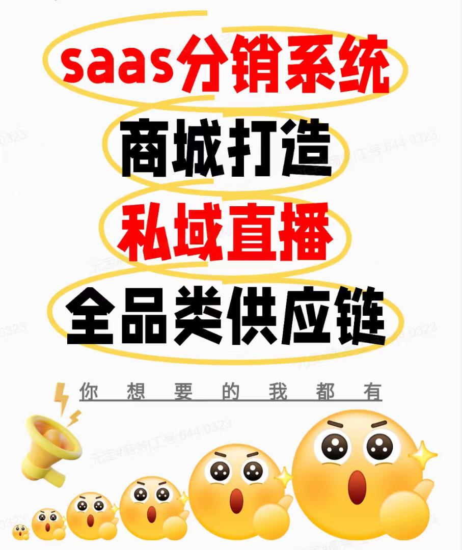 提供APP、小程序、网站PC端的定制开发优化