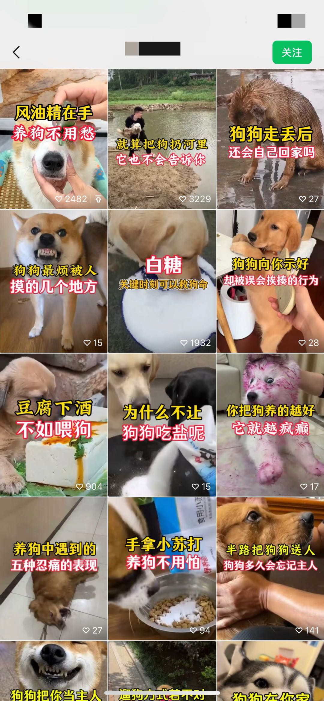 2026风口项目 掘金千亿宠物赛道