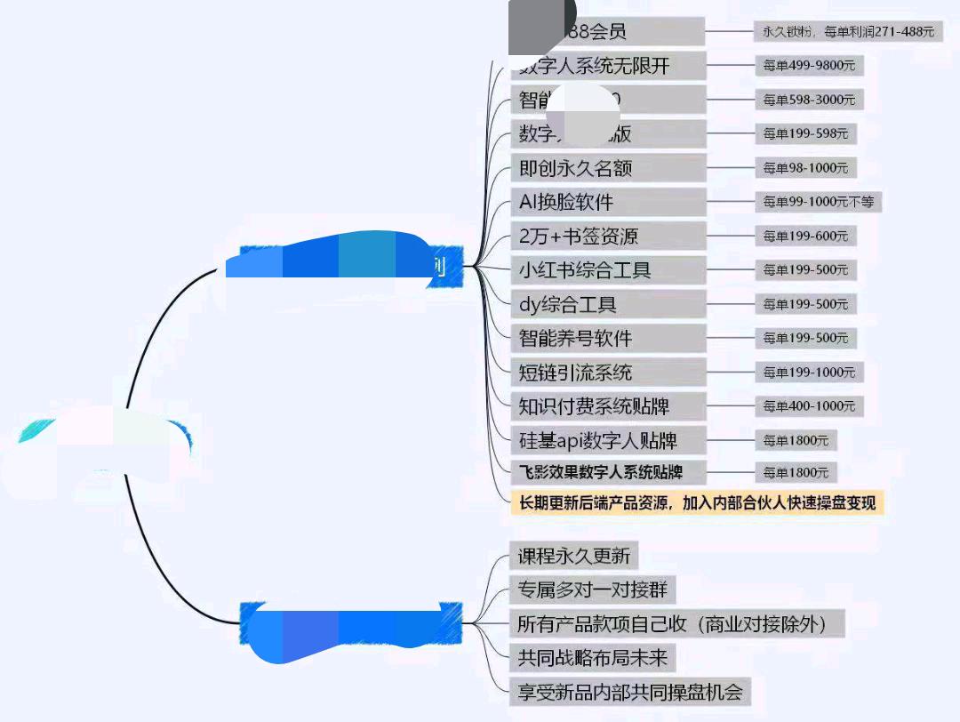 优质软件，包更新售后