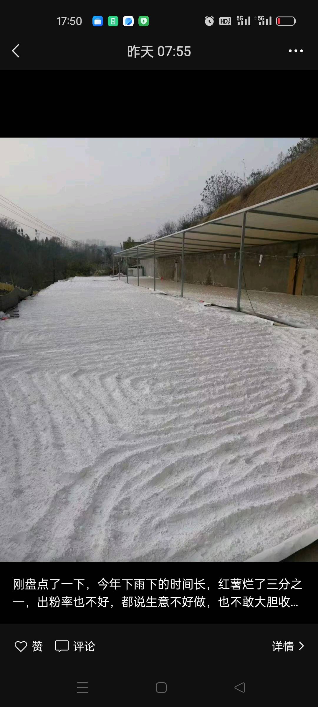 自产自销纯红暑条