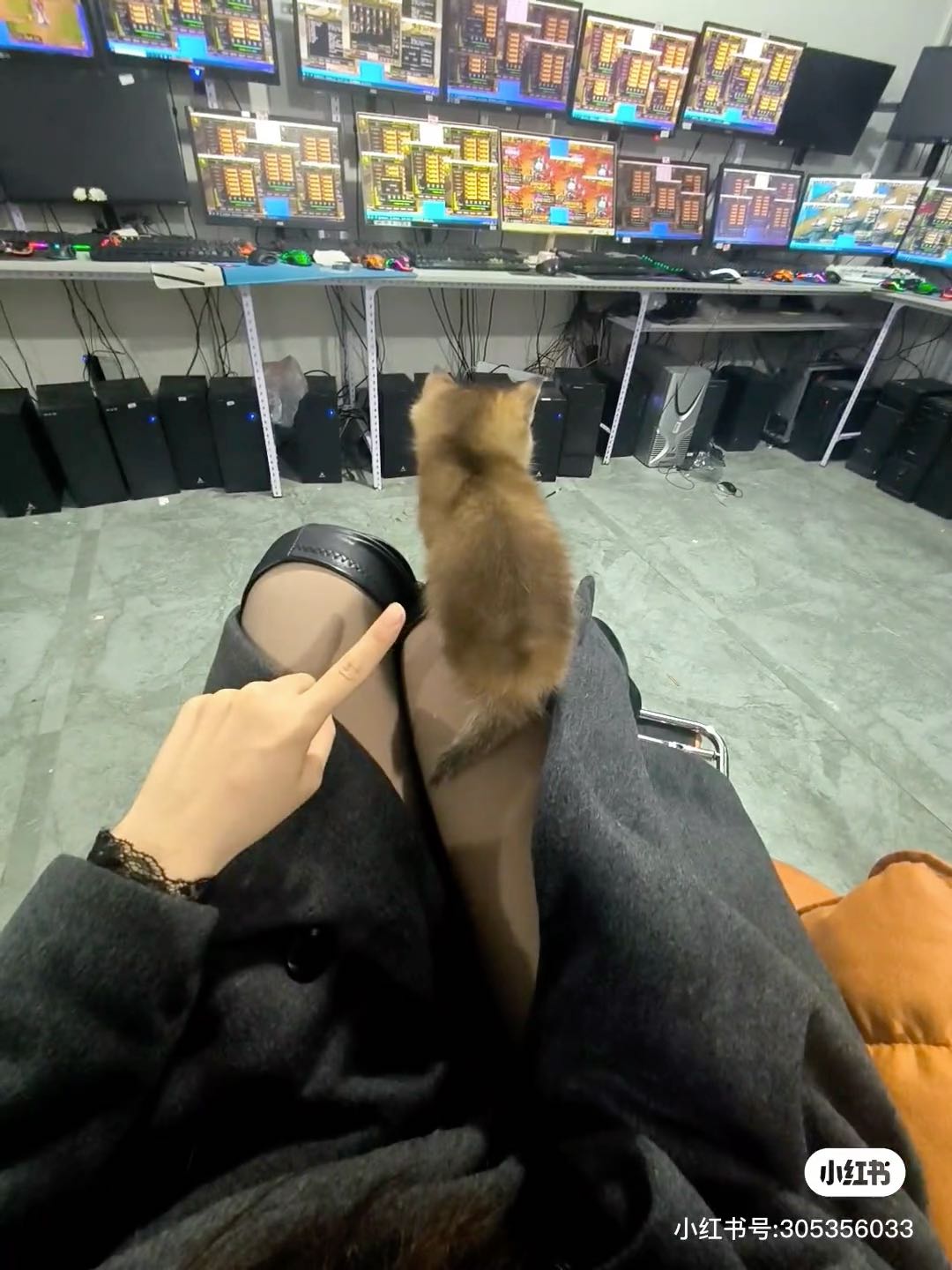 招正版传奇手游搬砖选手，打到多少收多少，每天日结