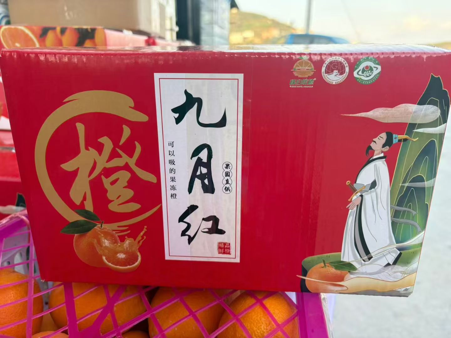 生鲜水果，一起合作共赢，支持一件代发