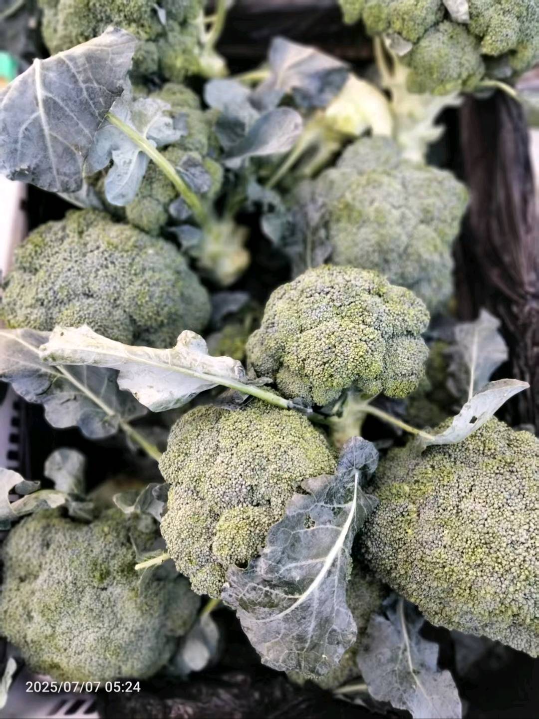 寻北京地推电销人员