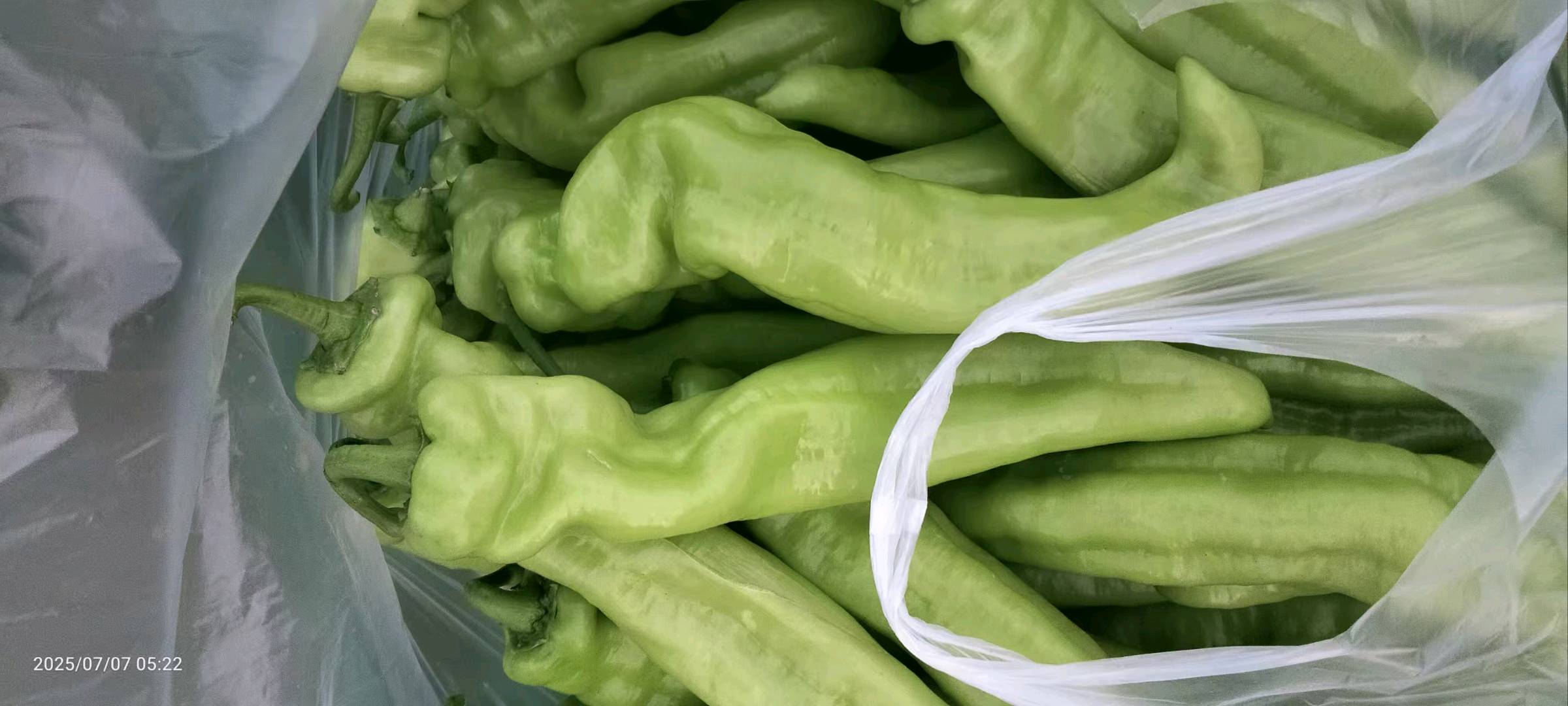 寻北京地推电销人员