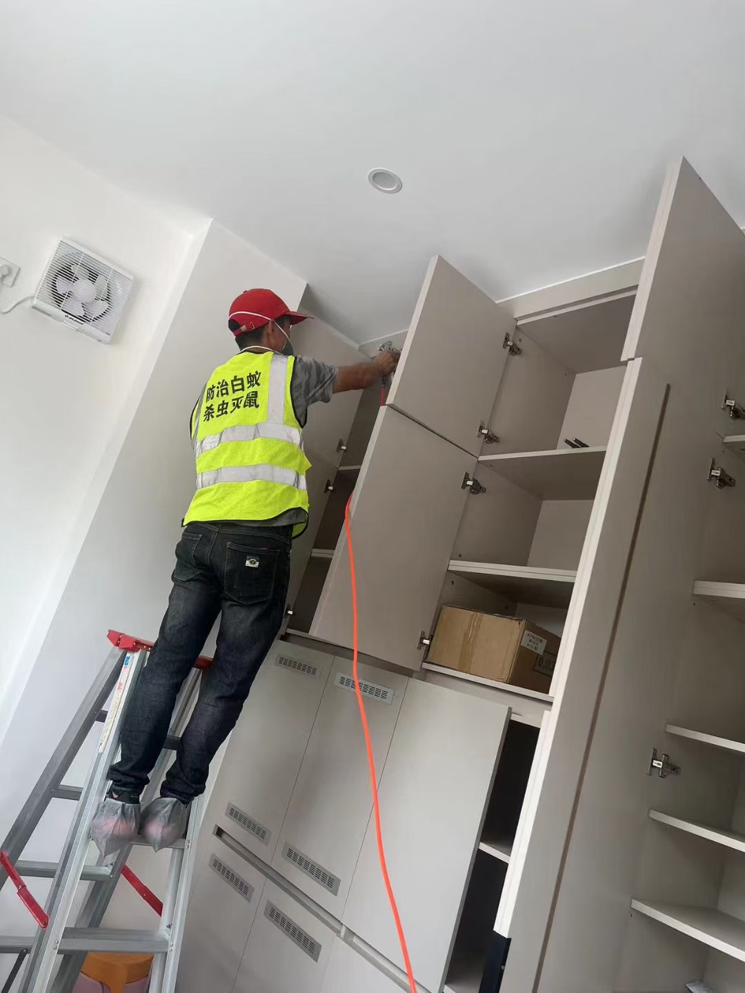 防治白蚁，除四害，有需要可以联系