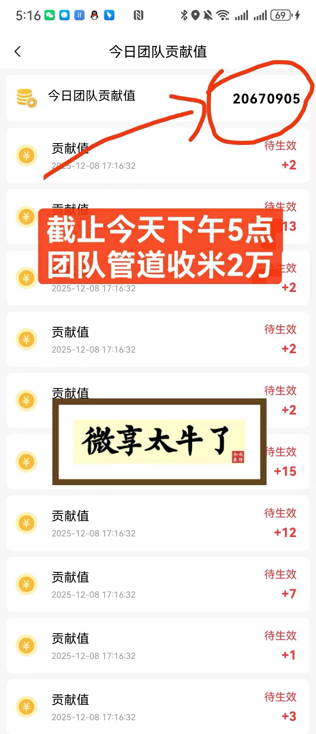 看广告项目免费带