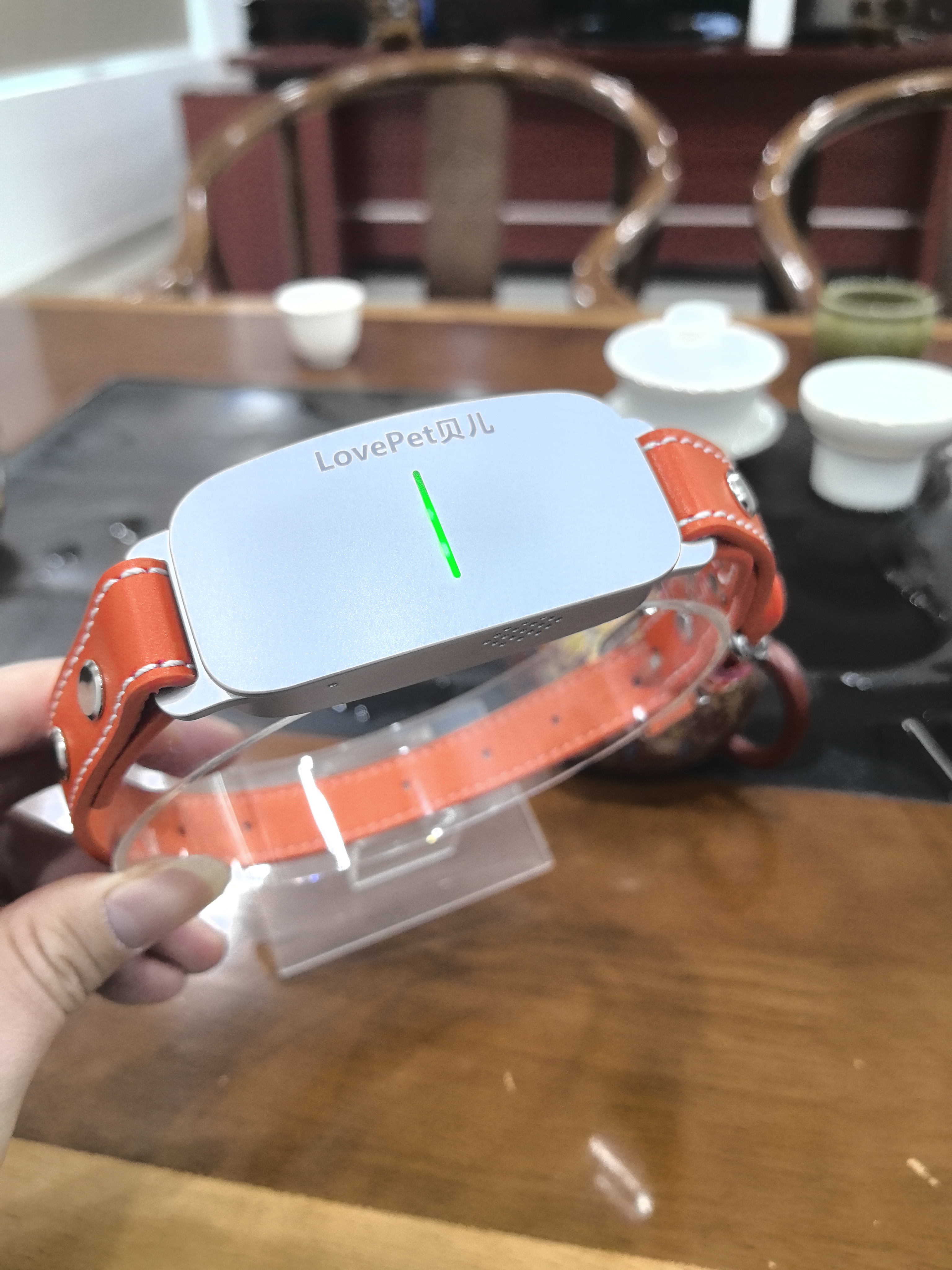 全球首款宠物ai语音项圈招代理