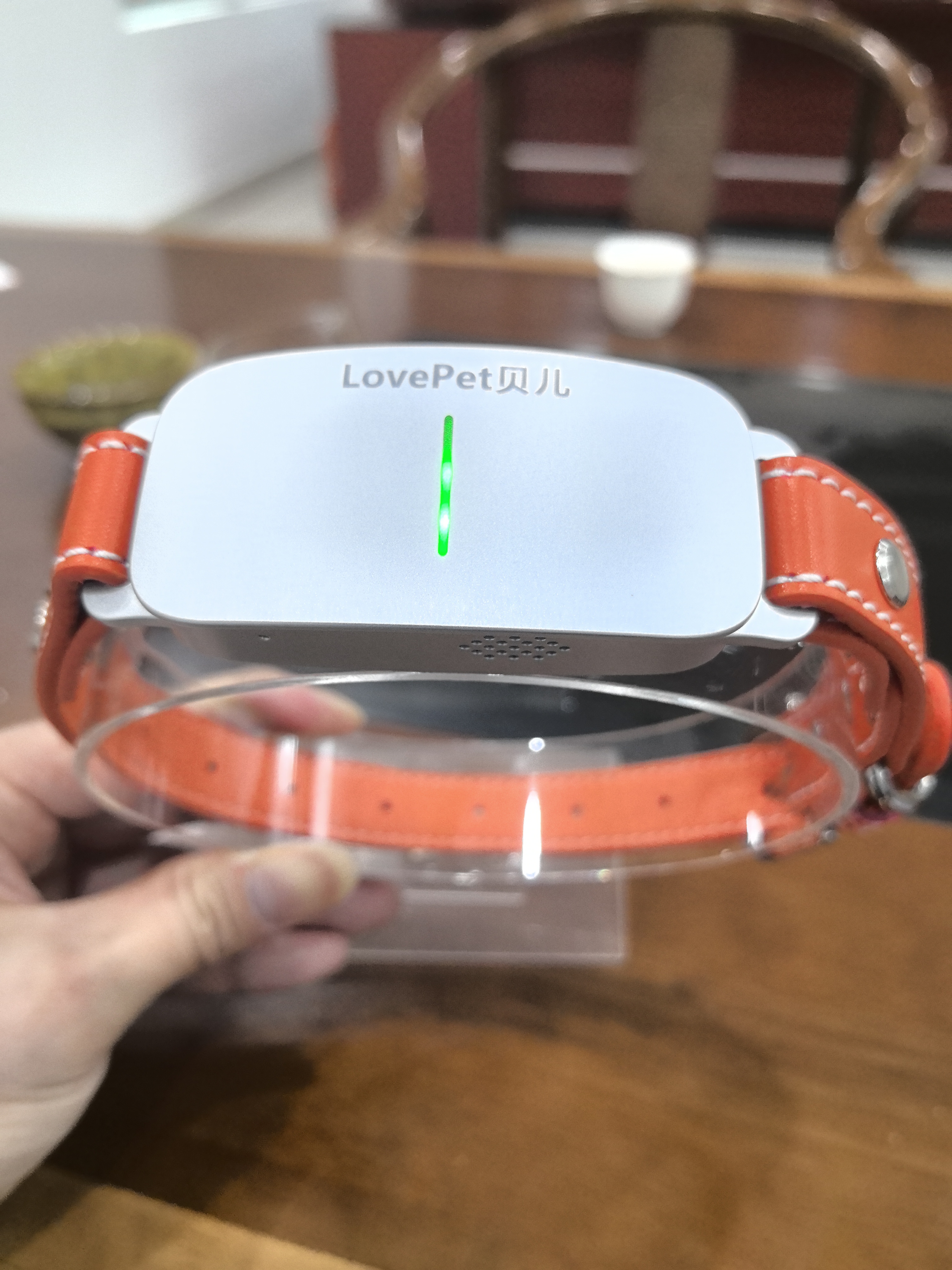 Ai改革宠物智能赛道 5000亿市场 寻找城市合伙人 新风口 新趋势 新未来