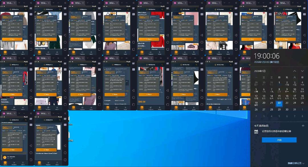 Wild berries 俄罗斯电商采集项目（支持先测试）日结