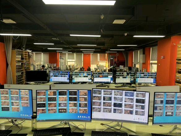 Wild berries俄罗斯电商采集项目(支持先测试)日结

