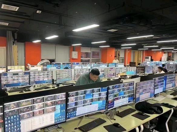 Wild berries俄罗斯电商采集项目(支持先测试)日结

