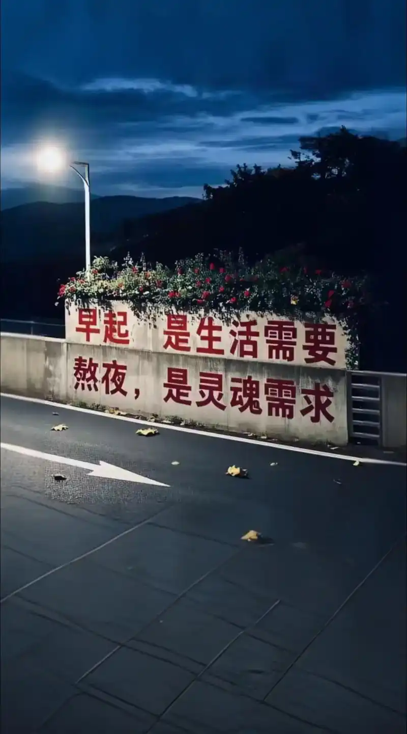 游戏红利搬砖项目  收益稳定  当日发米手机电脑都可操作