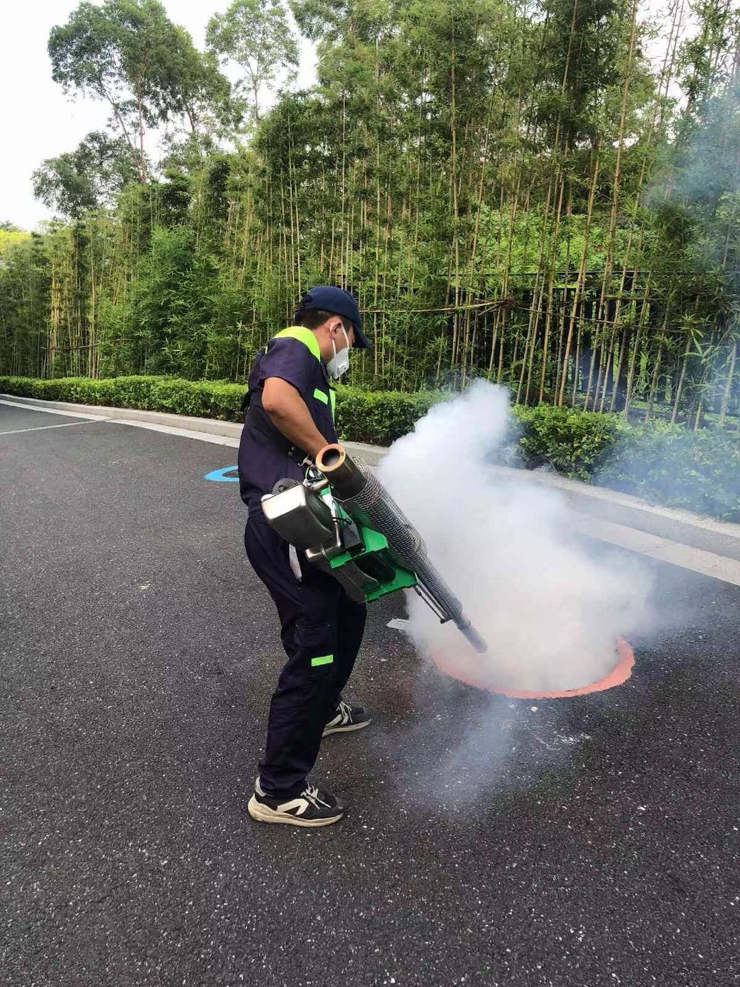 广州四害消杀/灭鼠灭蟑螂/白蚁防治/甲醛检测治理 地推网推合作