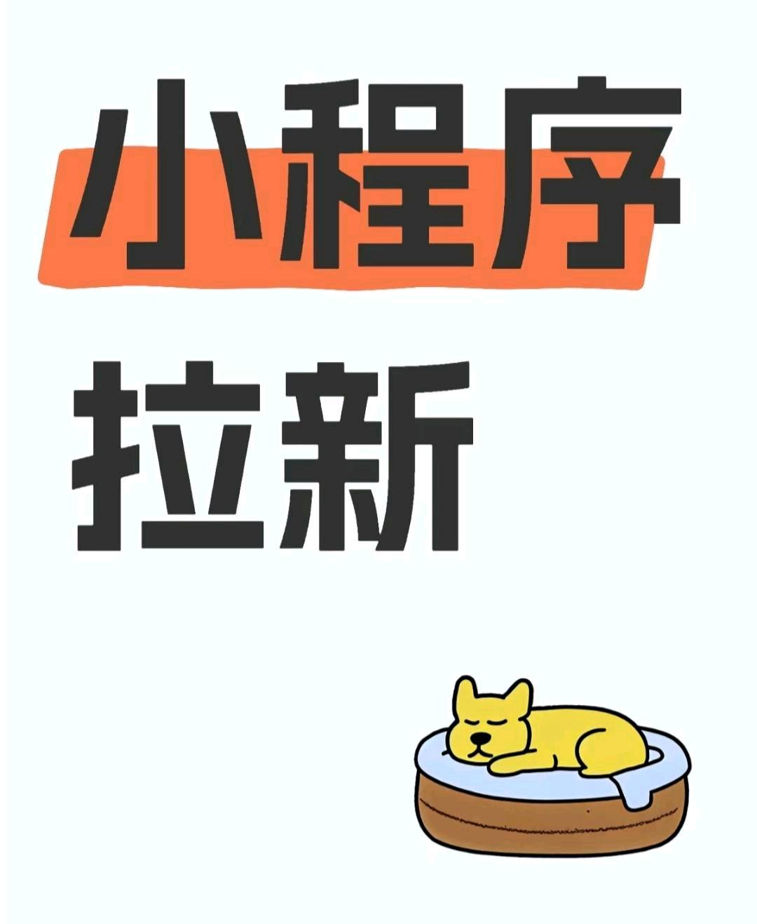 全国乘客端打车滴滴花小猪