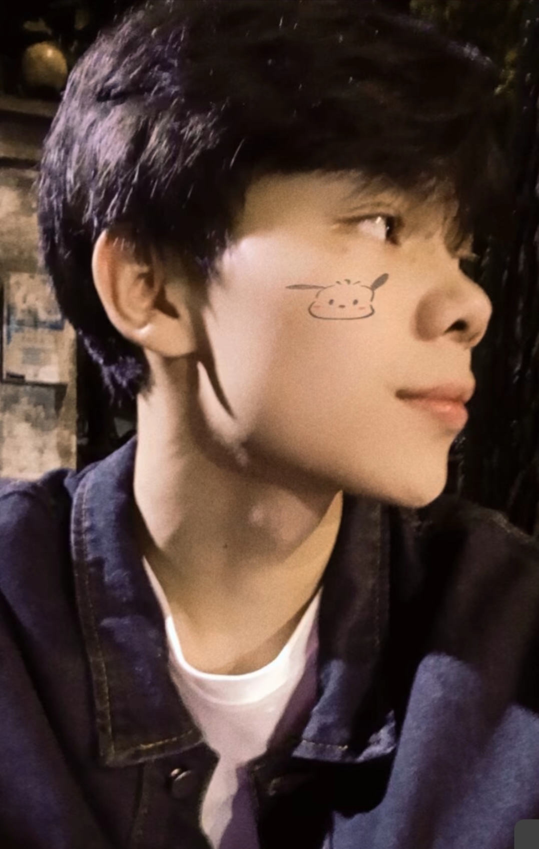 王者荣耀.上分找俺
