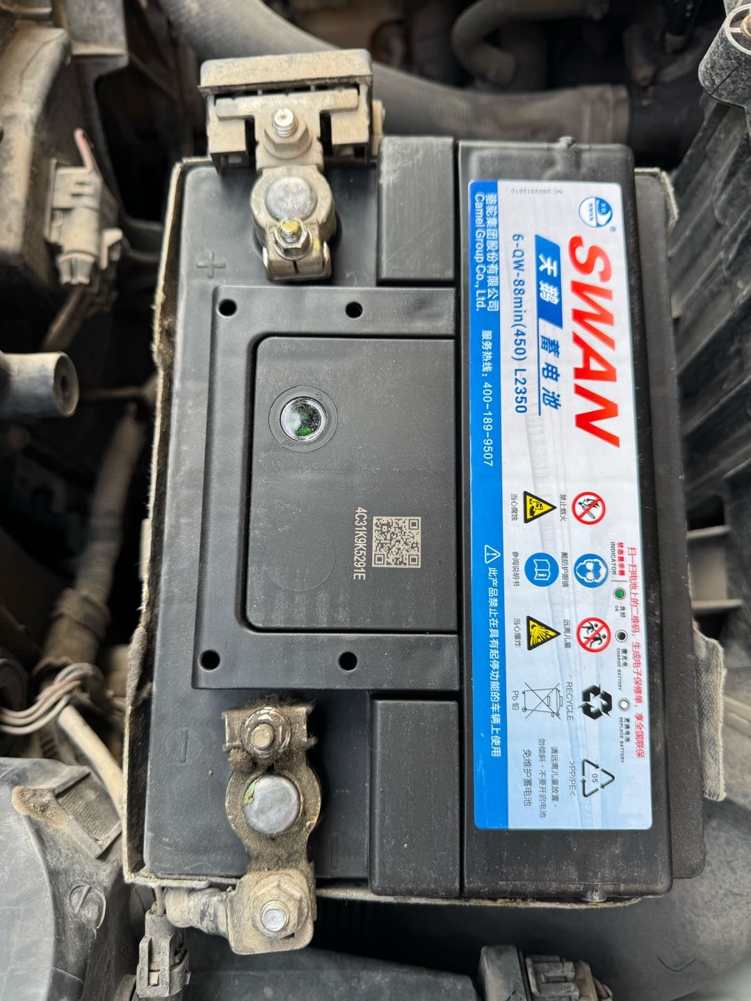 骆驼天鹅汽车蓄电池低价甩卖