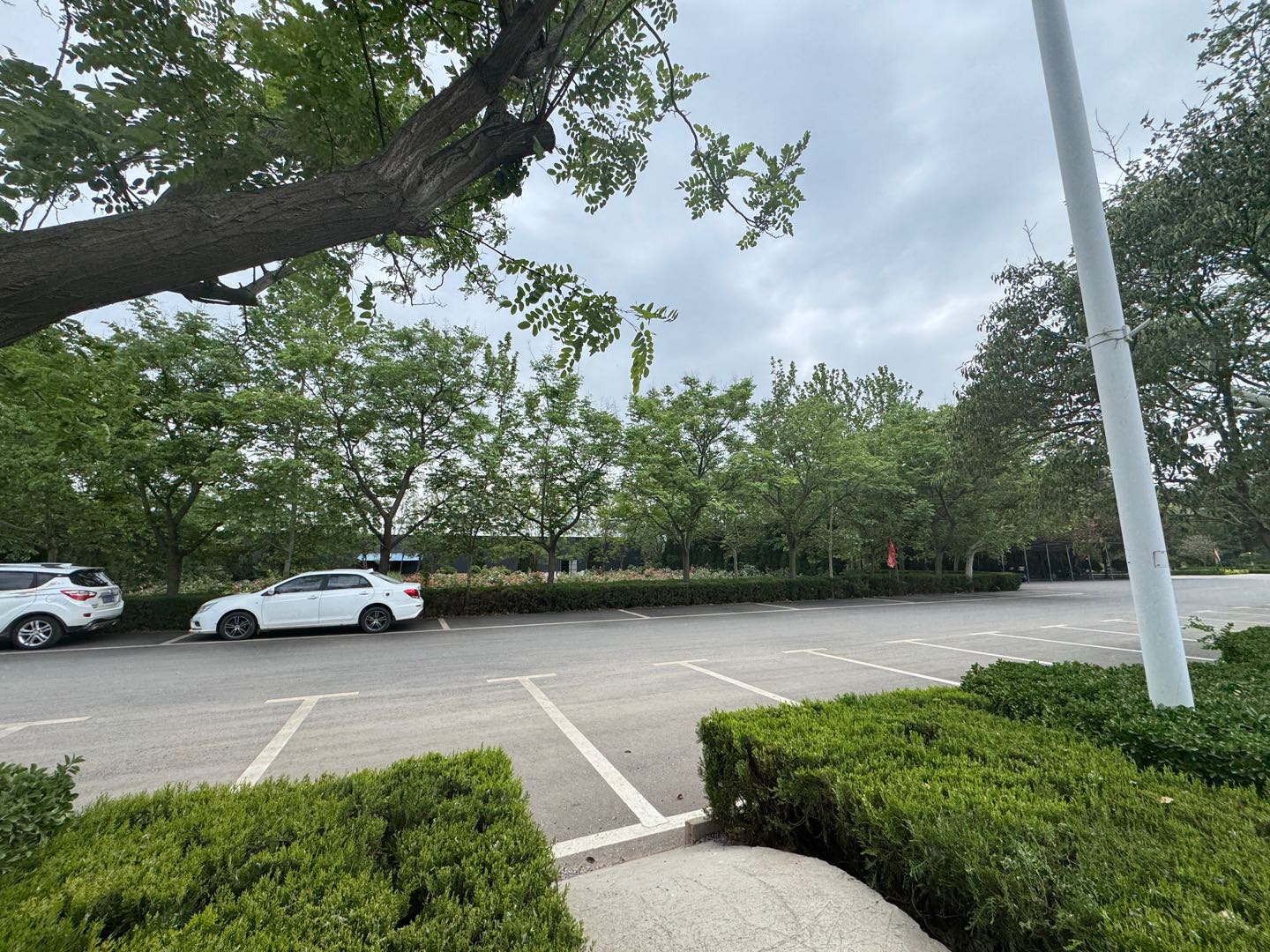 场地出租占地270亩，位于三省交界处，交通便利，设施齐全，可做工业，教育，养老等