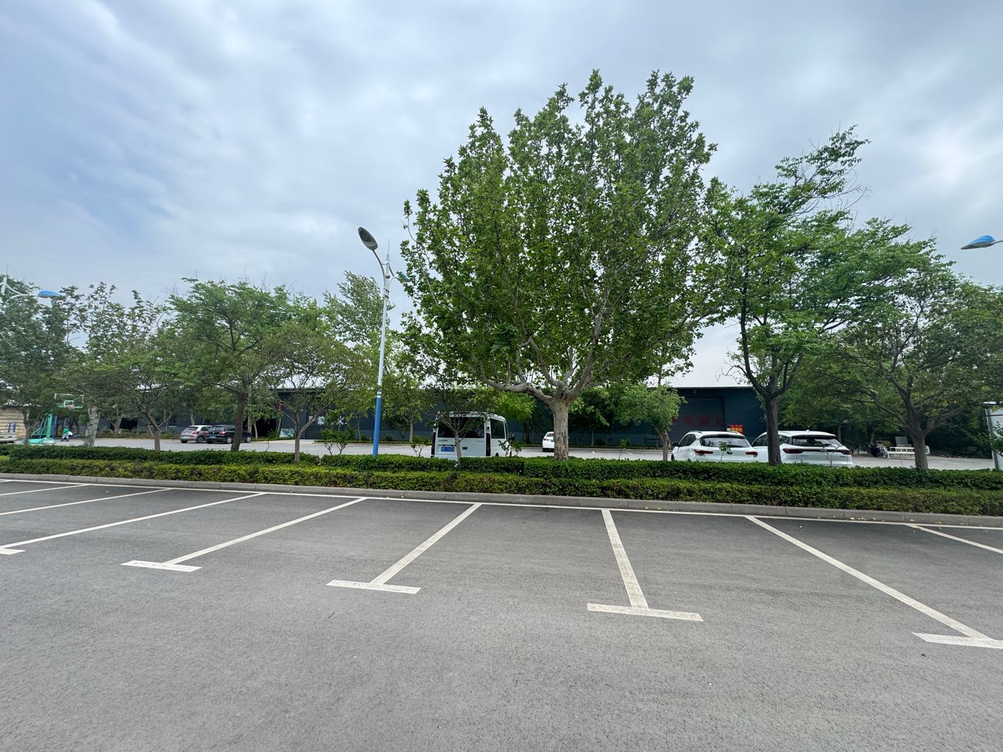 场地出租占地270亩，位于三省交界处，交通便利，设施齐全，可做工业，教育，养老等