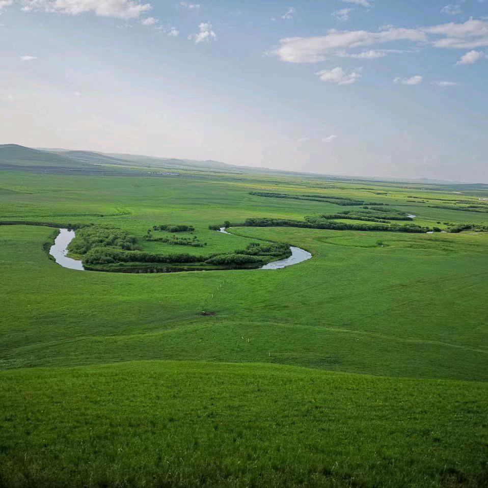 牛肉干内蒙古原产地，寻代理合作