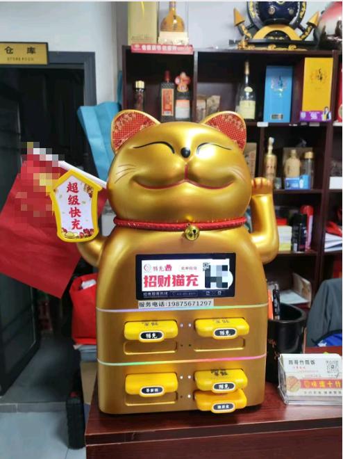 深圳东莞共享充电宝投放，纯分成，0 设备费，流水分润日结