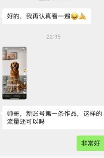 AI逝者纪念视频 招学徒｜零基础可入局冷门副业