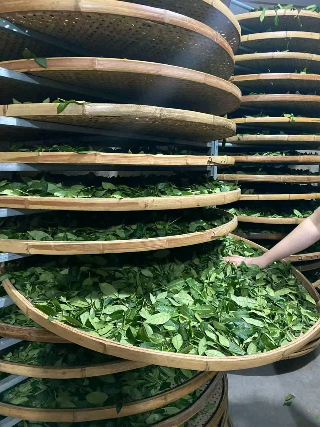 铁观音，家里自有茶园，寻求有兴趣一起合作运营推广的长期合作伙伴