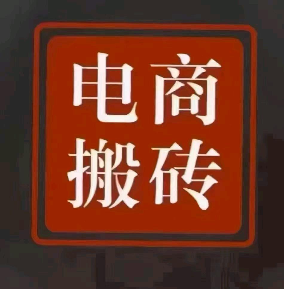 电商代购搬砖，用心带，日进300+