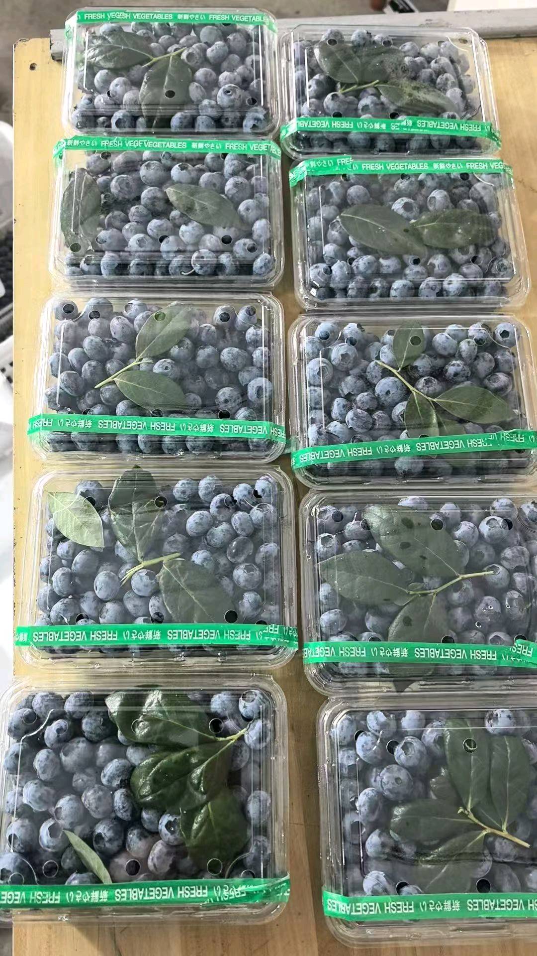 各类水果寻求推广人员，佣金8元一单