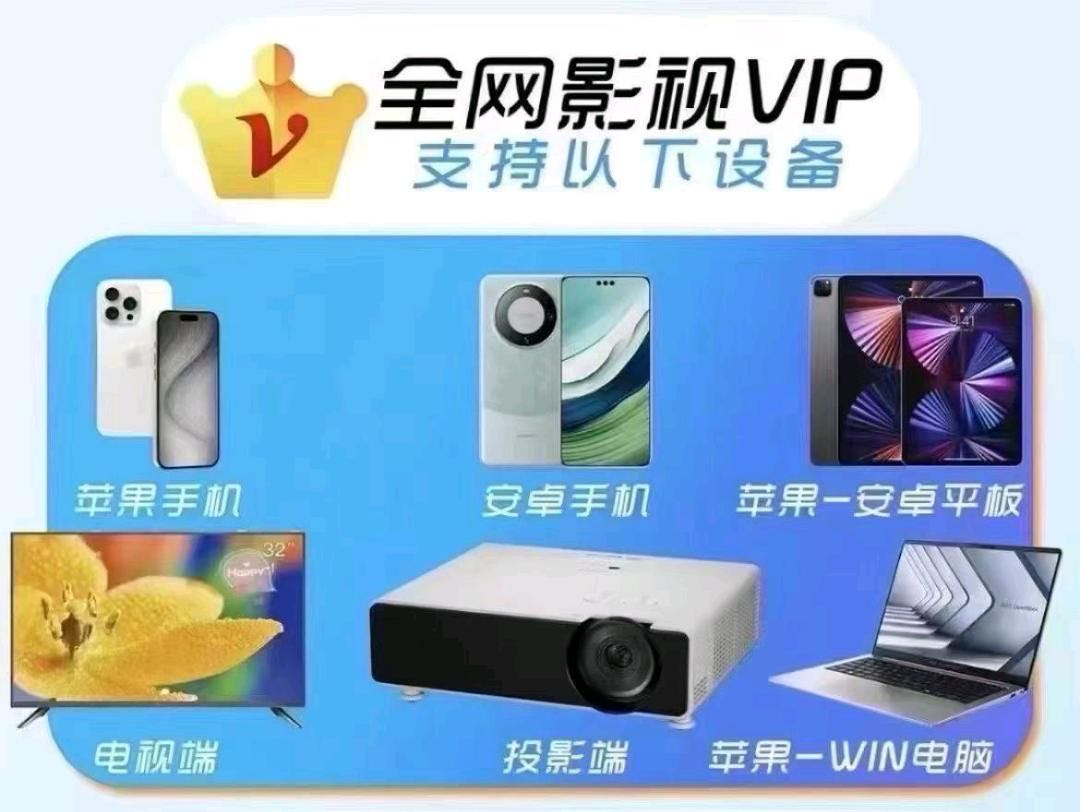 影视v**年卡项目.轻创业项目