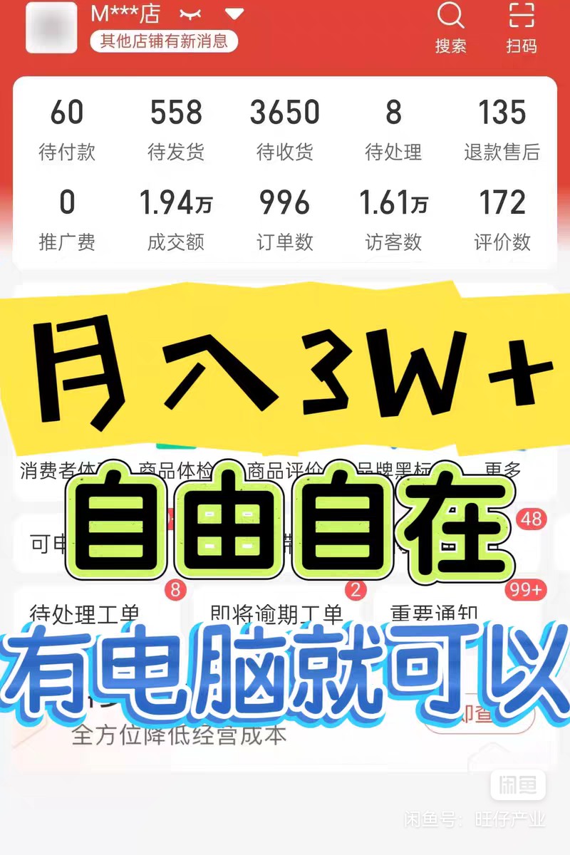 拼多多店铺电商合伙人