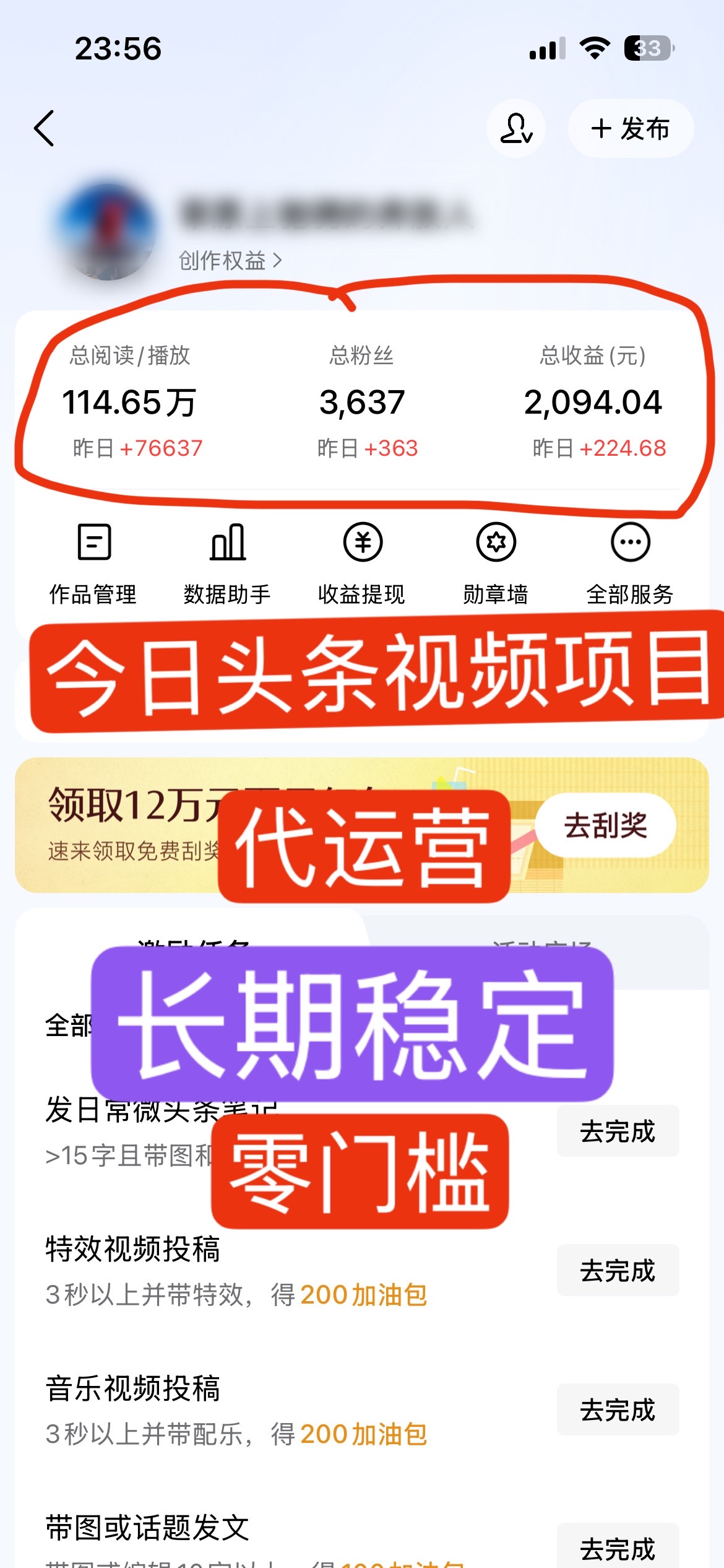 头条合作项目，收益五五分